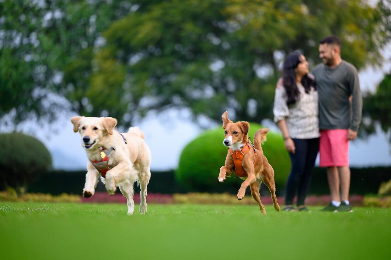 Nature Trails Sajan, Vikramgad Kudān Esterno foto